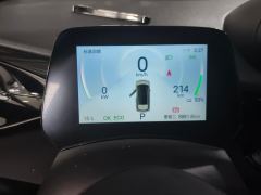 BYD Dolphin Honor Edition 420km Stylish Edition - photo 20