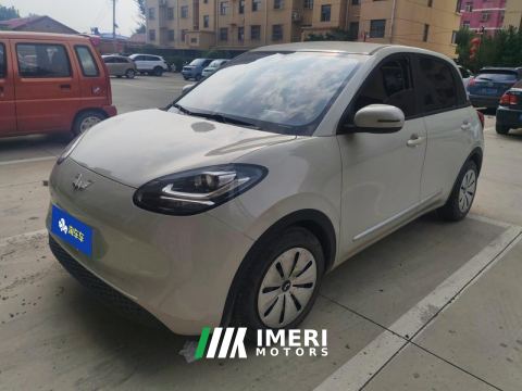 2023 Wuling Bingo Binguo 203km Light Enjoy Edition