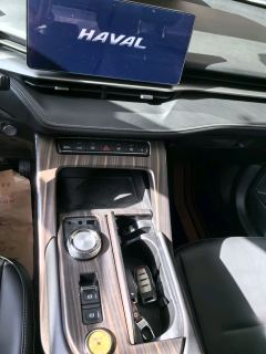 Haval H6 1.5T Two-Wheel Drive Max - photo 10