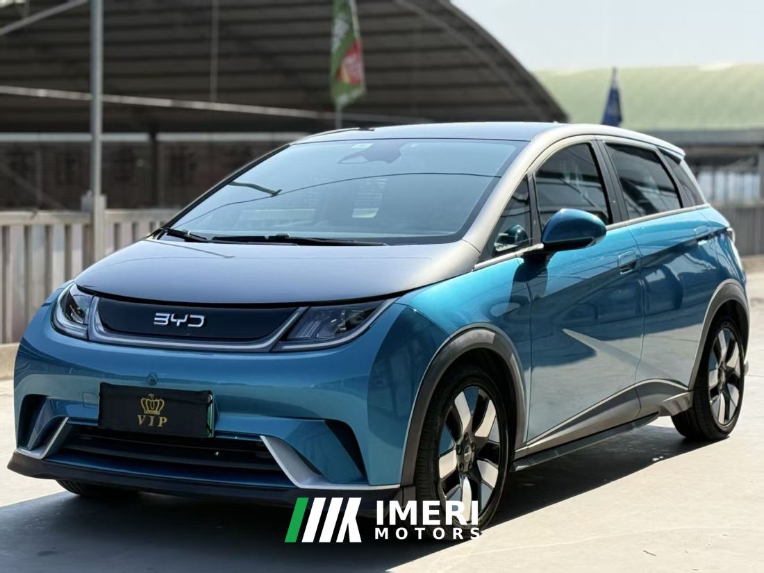 BYD Dolphin 401km Knight Edition - ავტომობილი ჩინეთიდან
