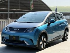 BYD Dolphin 401km Knight Edition - ფოტო 1