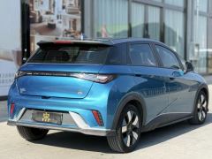 BYD Dolphin 401km Knight Edition - ფოტო 7