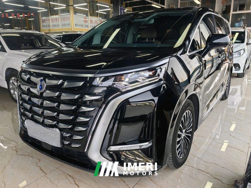 Denza D9 DM-i 970 4WD Flagship Edition - car from China