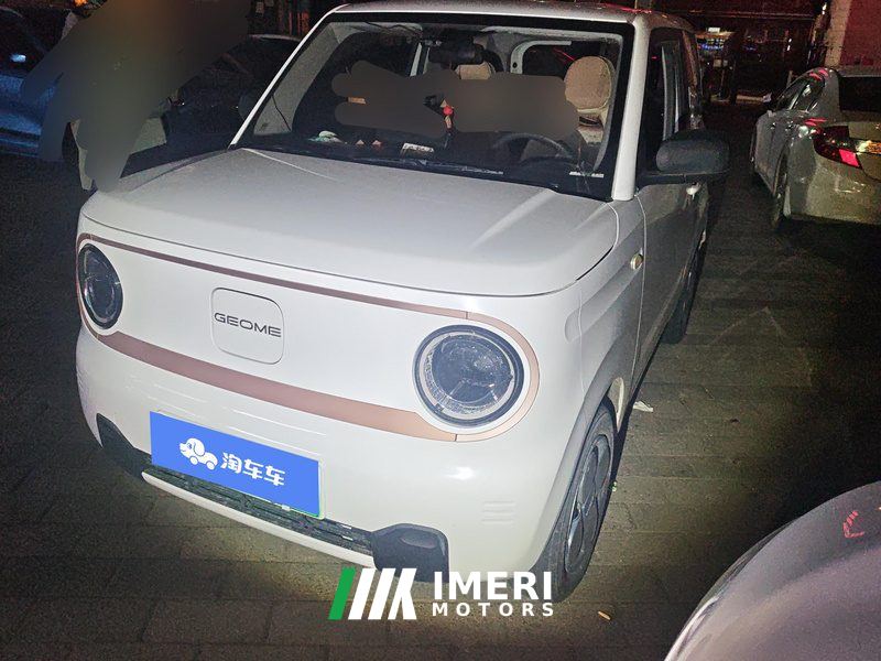 Geely Galaxy Panda mini 200km Endurance Bear - car from China