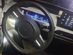 Geely Galaxy Panda mini 200km Endurance Bear - photo 18
