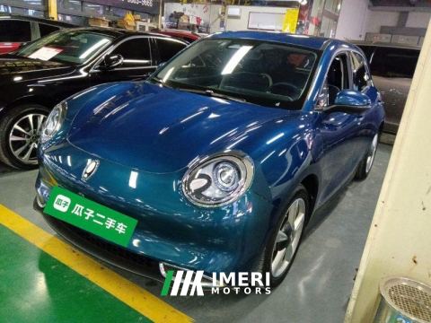 2021 Ora Great Wall Good Cat 401km Standard Range Venus version Ternary Lithium