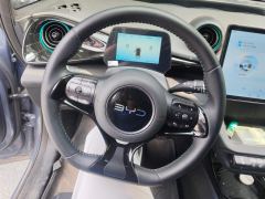 BYD Dolphin Honor Edition 420km Stylish Edition - photo 18