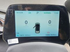 BYD Dolphin Honor Edition 420km Stylish Edition - photo 20