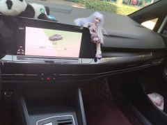 Volkswagen Golf 280TSI R-Line - photo 17