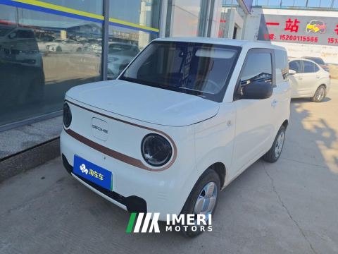 2024 Geely Galaxy Panda mini 200km Endurance Bear