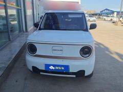 Geely Galaxy Panda mini 200km Endurance Bear - photo 3