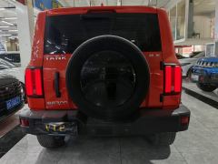 Tank 300 Off-Road Edition 2.0T Conqueror - photo 5