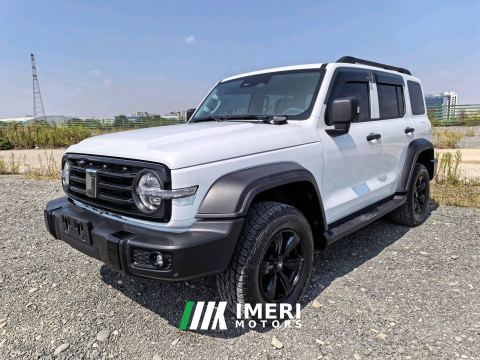 2021 Tank 300 Off-Road Edition 2.0T Conqueror