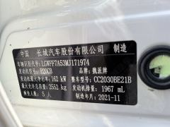 Tank 300 Off-Road Edition 2.0T Conqueror - ფოტო 2