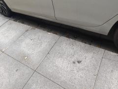 Volkswagen Golf 280TSI DCT Pro Type - ფოტო 11