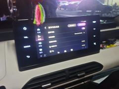 Geely Galaxy Panda mini 200km Endurance Bear - ფოტო 17