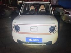 Geely Galaxy Panda mini 200km Endurance Bear - ფოტო 3