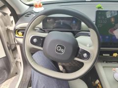 Chery QQ3EV 310 Edition - ფოტო 18