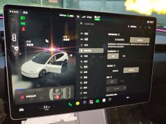 Tesla Model 3 606km Rear-Wheel Drive Edition - фото 20