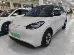 Wuling Bingo 333km Enjoy Edition - ფოტო 1