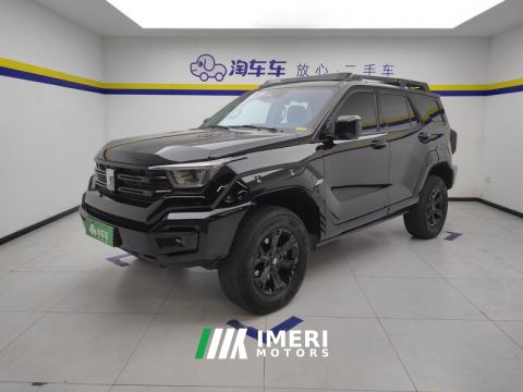 2024 Tank 400 New Energy 2.0T 105km City Edition 36.7kWh - car from China