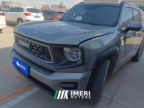 2023 Haval Dargo Big Dog PLUS 2.0T Four-wheel drive off-road version Plus - автомобиль из Китая