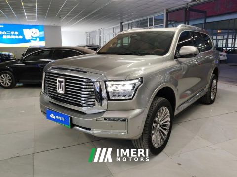 2023 Tank 500 New Energy 2.0T Hi4-T - автомобиль из Китая