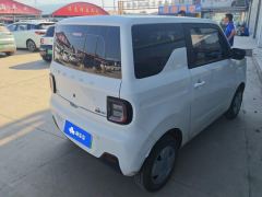Geely Galaxy Panda mini 200km Endurance Bear - фото 2