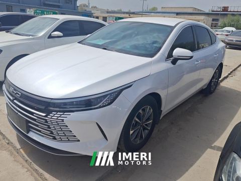 2024 BYD Destroyer 05 DM-i Honor Edition 1.5L 55km Luxury Edition