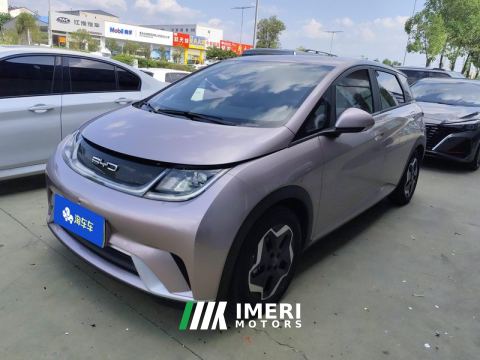 2021 BYD Dolphin 405km Free Version