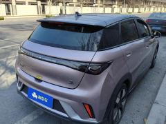 BYD Dolphin 401km Knight Edition - ფოტო 2
