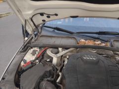 Audi A4L 40 TFSI Luxury Dynamic - ფოტო 20