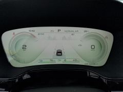 BYD Tang DM-i Champion Edition 1.5T 112km Precursor Honorable Type 7-seater - photo 20