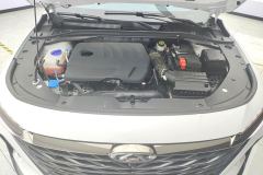 Chery Arrizo 8 Edition 2.0T - ფოტო 5