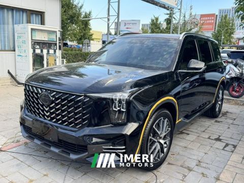 2025 GAC Trumpchi GS8 Pilot series 2.0T RWD Luxury Edition 5-seater - ავტომობილი ჩინეთიდან