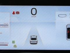 Geely Emgrand Passage 4 - photo 11