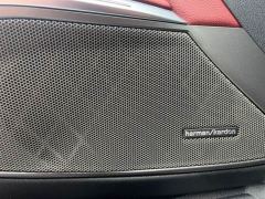 BMW 3 Series 325Li M Sport Package - фото 13