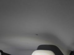 Geely Geometry E Firefly 301km Aurora - ფოტო 15