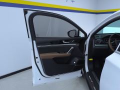 BYD Tang DM-i 1.5T 112KM Precursor Honorable Type - photo 12