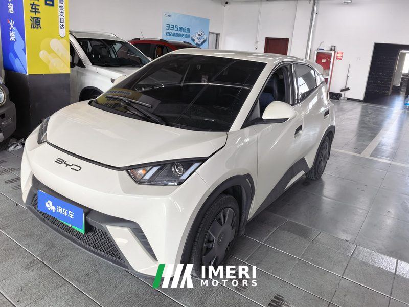 BYD Seagull 305km Vitality Edition