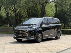 Maxus G20 PLUS 2.0T Edition - photo 1