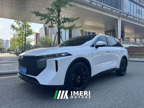 2023 Venucia V 260T Idol Edition Pro
