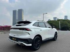 Forthing Hafei T5 EVO T5 EVO Edition 1.5T - ფოტო 12