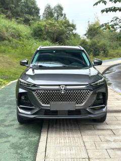 Changan X7 PLUS 1.5T Version 7 - фото 2
