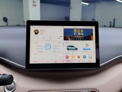 BYD Seagull 305km Free Version - ფოტო 17