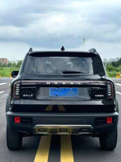 Haval Great Wall Big Dog Great Wall Dog 1.5T 2WD Edge Pastoral Edition - фото 9