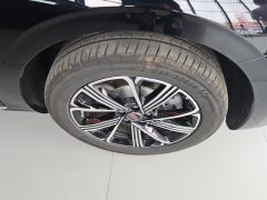 FAW Red Flag H5 PHEV 1.5T 130km Super Mix - ფოტო 6