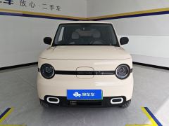 Geely Galaxy Panda mini 210km Yuanqi Bear - photo 3