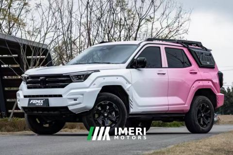 2024 Tank 400 New Energy 2.0T 105km Off-road version 37.1kWh - ავტომობილი ჩინეთიდან