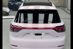AITO M9 EREV Edition 290km Max 5(896) - photo 5